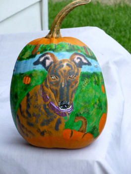 Brindle Dog Poetrait on a pumpkin