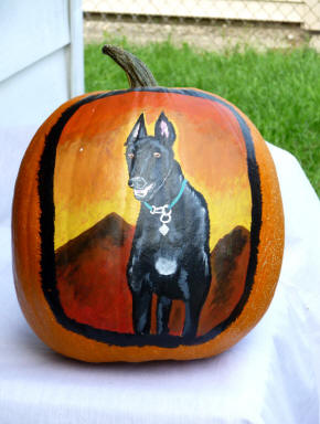 Black greyhound on a warrm colored background painted on a pumpkin